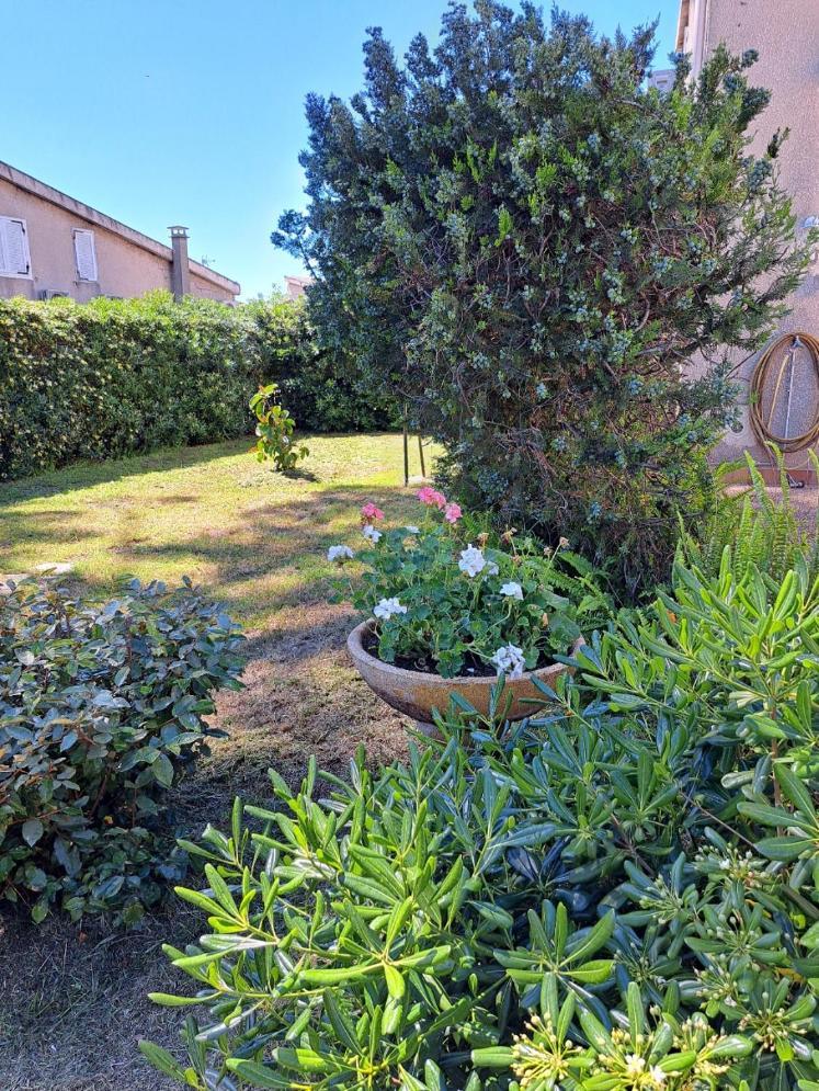 Mini Villa Jardin 50 M Plage Borgo  Eksteriør bilde