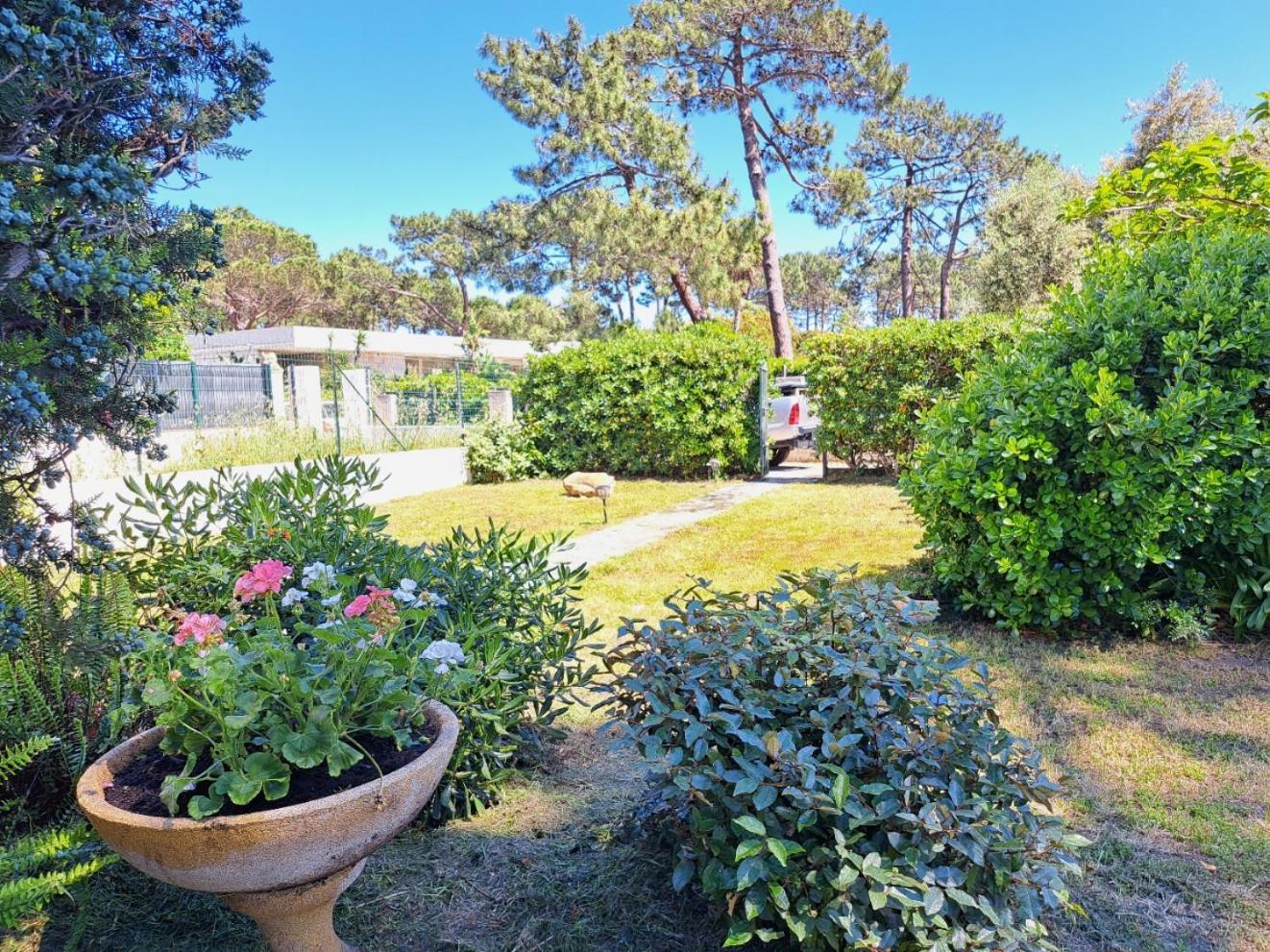 Mini Villa Jardin 50 M Plage Borgo  Eksteriør bilde